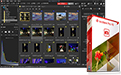 ACDSee Pro 10 简体中文