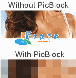 【不健康图片屏蔽工具】Picblock下载V英文版