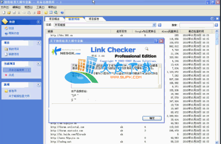 Link Checker Professional Edition 中文专业版[链接检查大师]