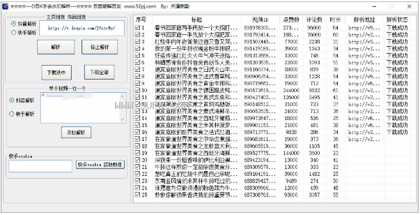 抖音快手批量去水印解析软件