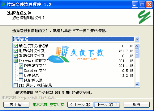 雨林木风垃圾文件清理程序中文版下载,垃圾文件清理器