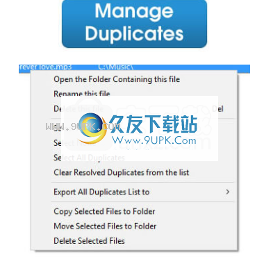 EasyDuplicateCleaner