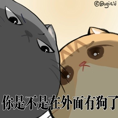 在外面有猫了表情包 高清版