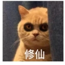 猫修仙熬夜qq表情包