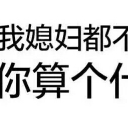 我媳妇说什么都对文字qq表情包