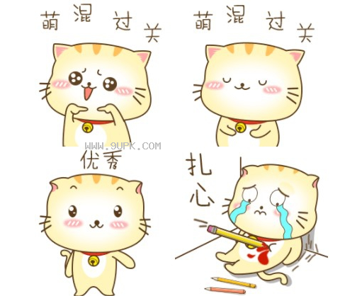 自考小肥猫qq表情包