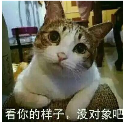 人民的猫奴表情包 无水印版