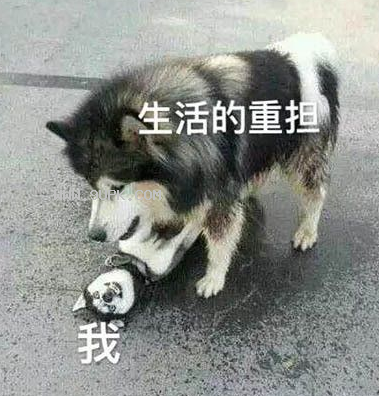 我和生活qq表情包