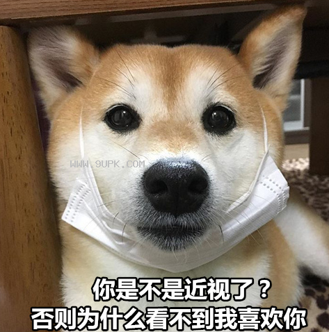 柴犬七夕土味情话qq表情包