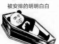 被安排的明明白白qq表情包