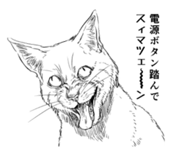 hanseishinai猫qq表情包