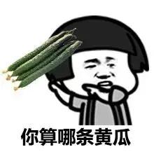 你算哪瓣蒜qq表情包