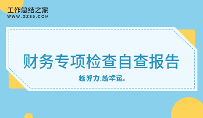 财务专项检查自查报告