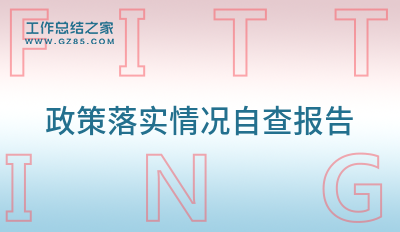 政策落实情况自查报告