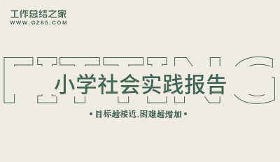 [荐]小学社会实践报告通用