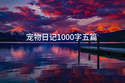 宠物日记1000字五篇