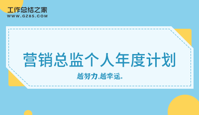 有关营销总监个人年度计划