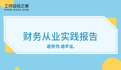 财务从业实践报告