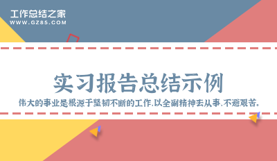 实习报告总结示例