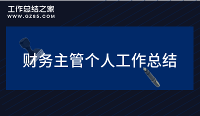 财务主管个人工作总结优选十一篇