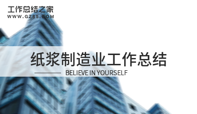 纸浆制造业工作总结系列九篇