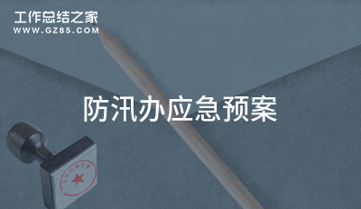 防汛办应急预案(集锦9篇)
