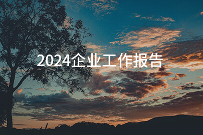 2024企业工作报告