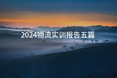 2024物流实训报告五篇