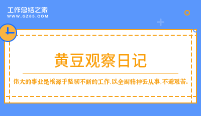 最新黄豆观察日记15篇