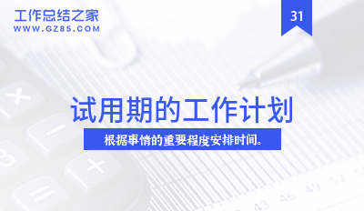 试用期的工作计划5篇