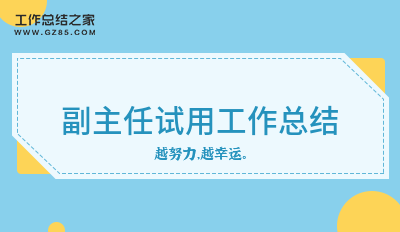 副主任试用工作总结精华