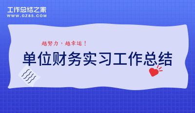 [荐]单位财务实习工作总结