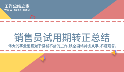 销售员试用期转正总结通用