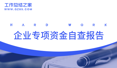 企业专项资金自查报告