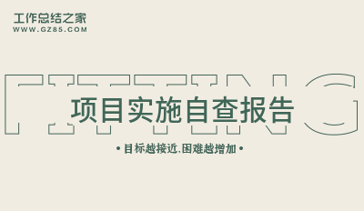 项目实施自查报告精选