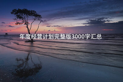 年度经营计划完整版3000字汇总