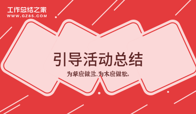 引导活动总结